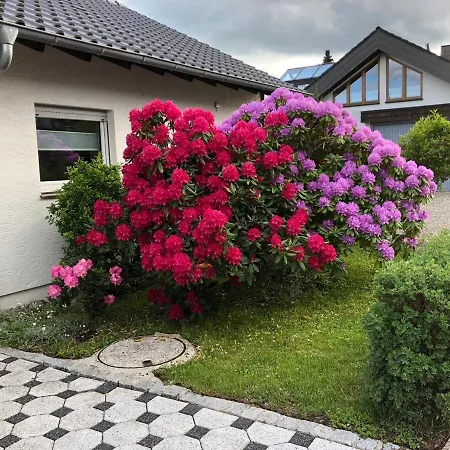 Apartment Schwarzwaldhirsch Unterkirnach
