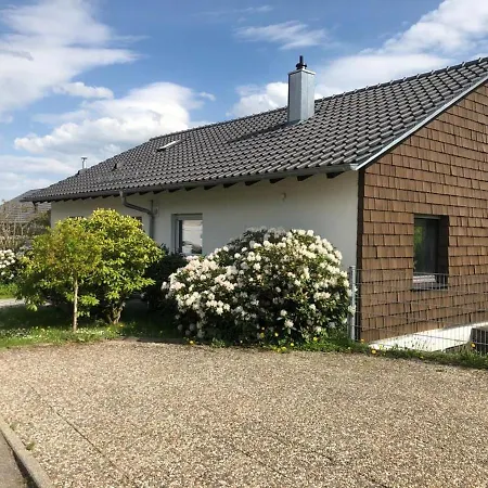 Schwarzwaldhirsch
