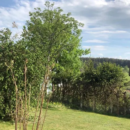 Schwarzwaldhirsch * Unterkirnach