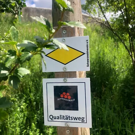 아파트 Schwarzwaldhirsch