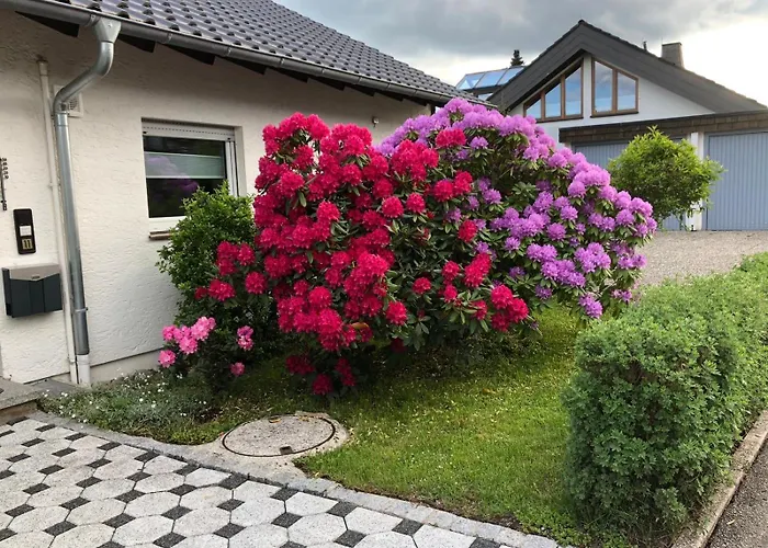 Appartement Schwarzwaldhirsch *